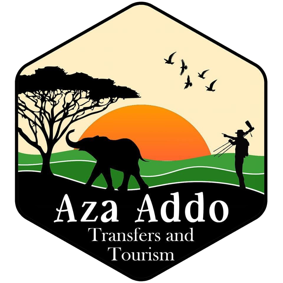 Aza Addo Travel and Tourism